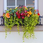 Georgian House Hotel 4*
