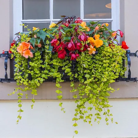 Georgian House Отель 4*