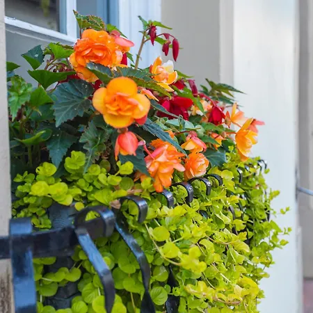 Отель Georgian House