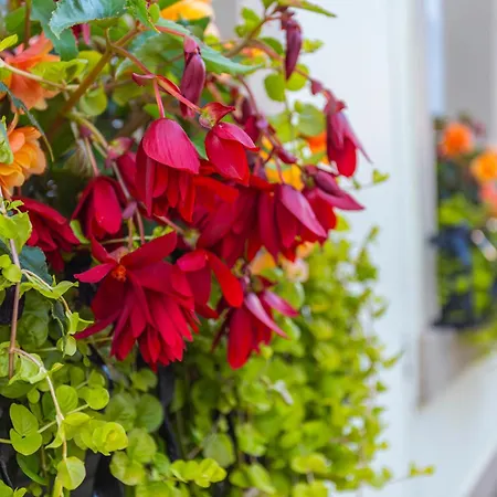 Georgian House 4* Уайтхейвен