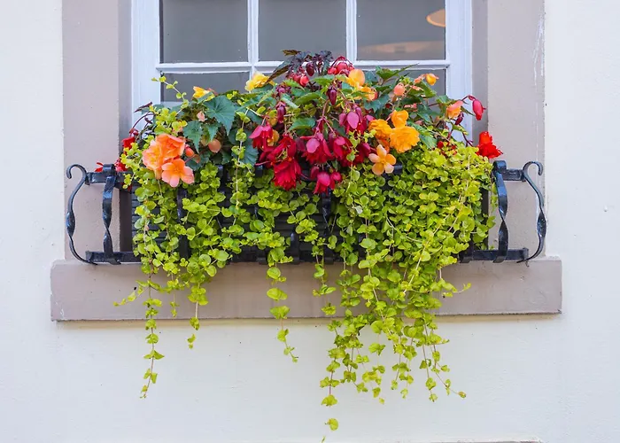 Georgian House Hotel 4*