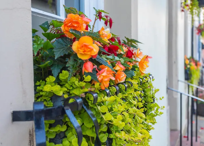 Hotel Georgian House