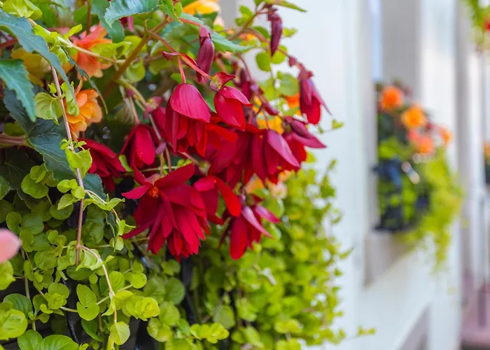 Georgian House 4* Whitehaven